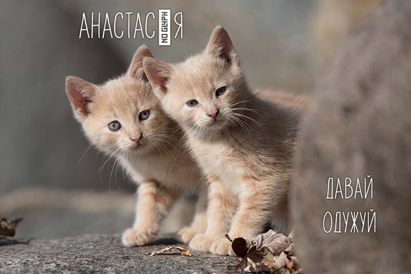 Картинка Швидкого одужання, Анастасія!