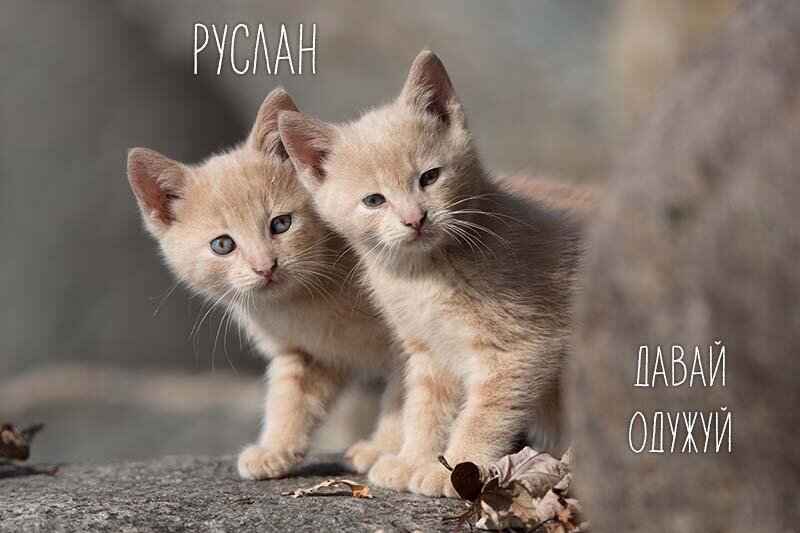 Картинка Швидкого одужання, Руслан!