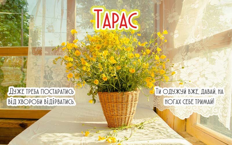 Картинка Здоров'я тобі, Тарас