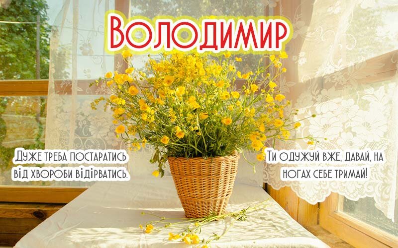 Картинка Здоров'я тобі, Володимир