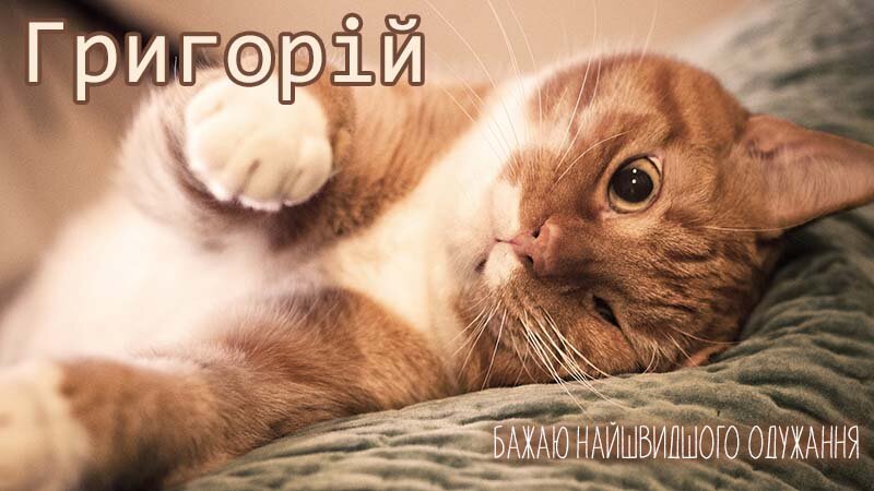Картинка видужуй і більше не хворій, Григорій