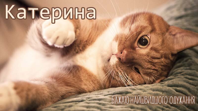 Картинка видужуй і більше не хворій, Катерина