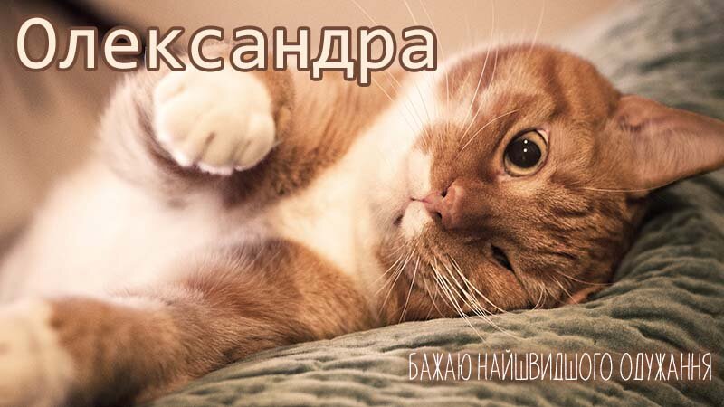 Картинка видужуй і більше не хворій, Олександра