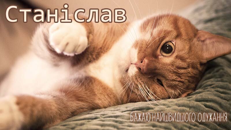Картинка видужуй і більше не хворій, Станіслав