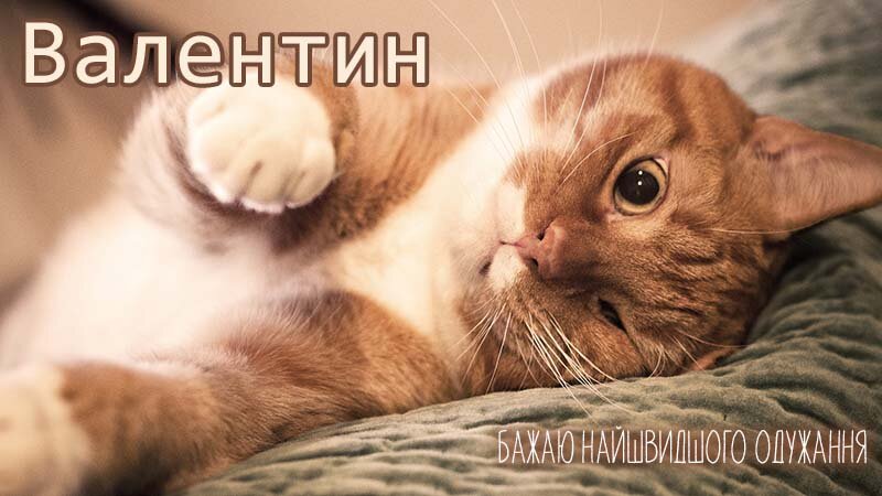 Картинка видужуй і більше не хворій, Валентин