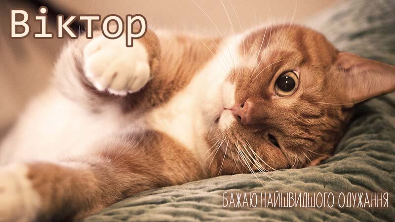 Картинка видужуй і більше не хворій, Віктор