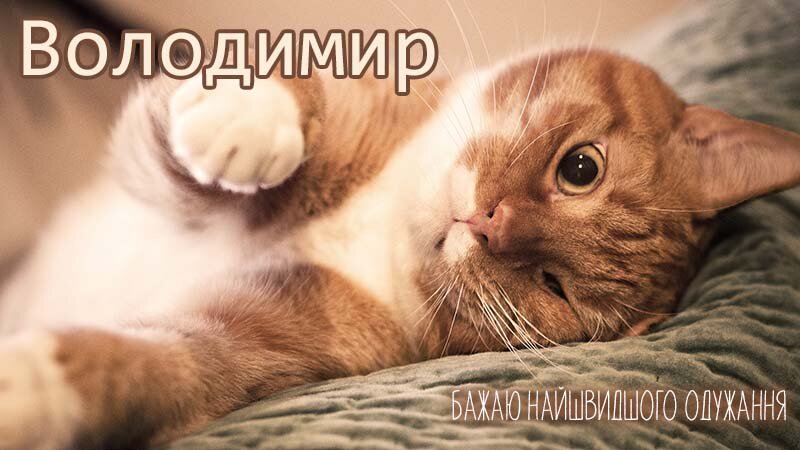 Картинка видужуй і більше не хворій, Володимир