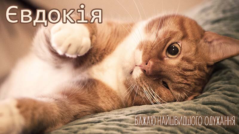 Картинка видужуй і більше не хворій, Євдокія
