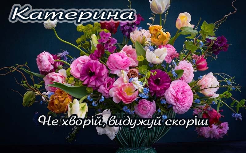 Картинка Катерина, Агов, ану, не хворій, видужуй швидше!