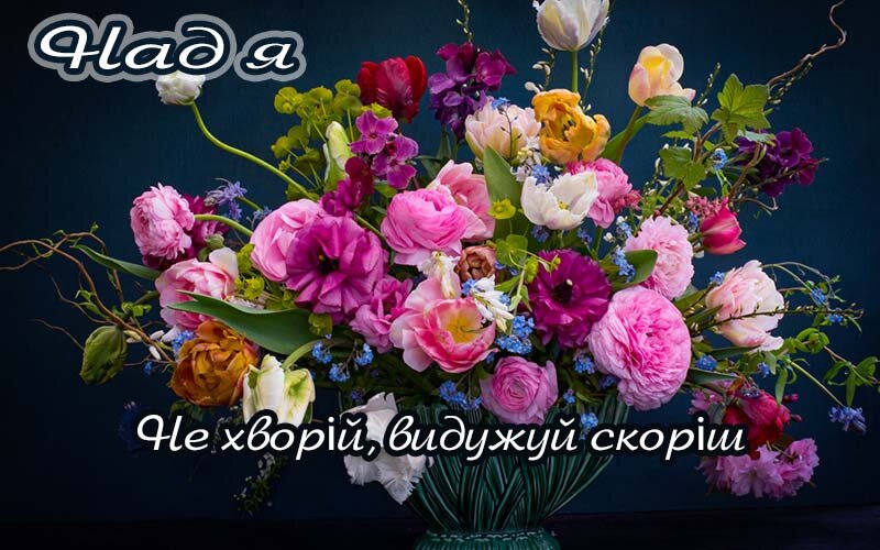Картинка Надія, Агов, ану, не хворій, видужуй швидше!