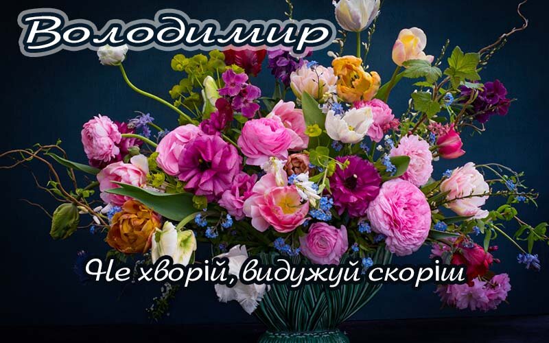 Картинка Володимир, Агов, ану, не хворій, видужуй швидше!