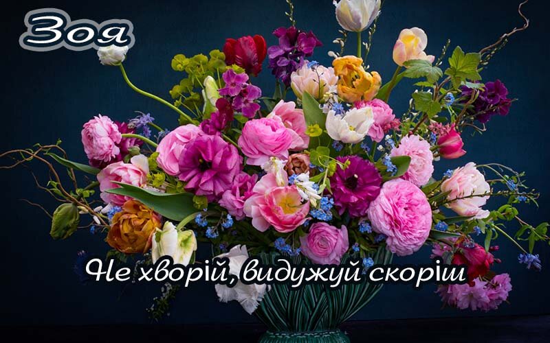 Картинка Зоя, Агов, ану, не хворій, видужуй швидше!
