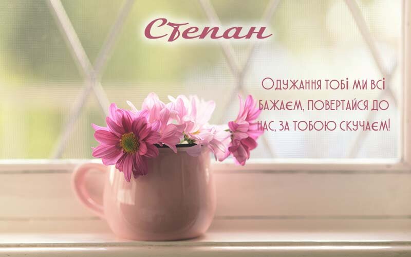 Листівка Видужуй, Степан!