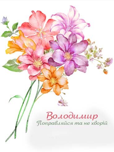 Картинка Здоров'я тобі, Володимир