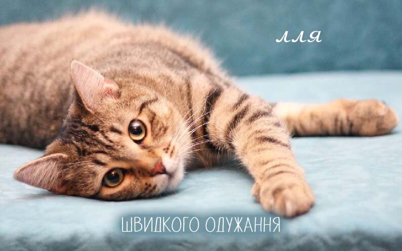 Листівка Ілля, Випий чаю хуткіш і видужуй скоріш!