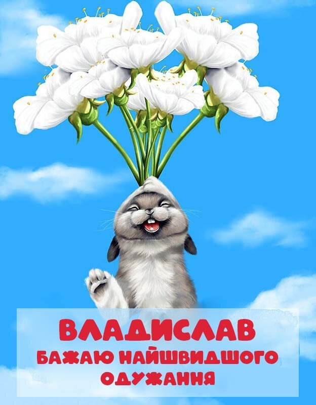Картинка Швидкого одужання, Владислав!