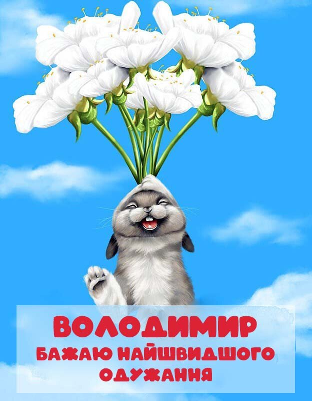 Картинка Швидкого одужання, Володимир!