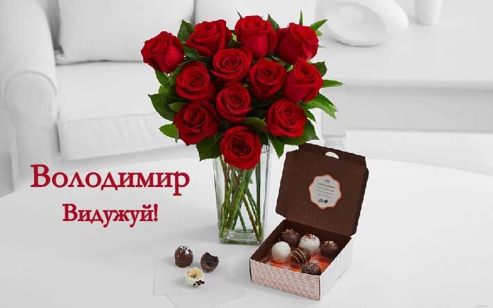 Картинка видужуй і більше не хворій, Володимир