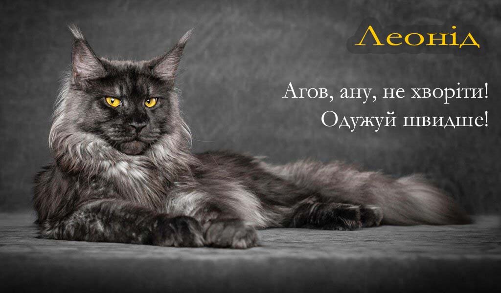 Картинка Леонід, Агов, ану, не хворій, видужуй швидше!