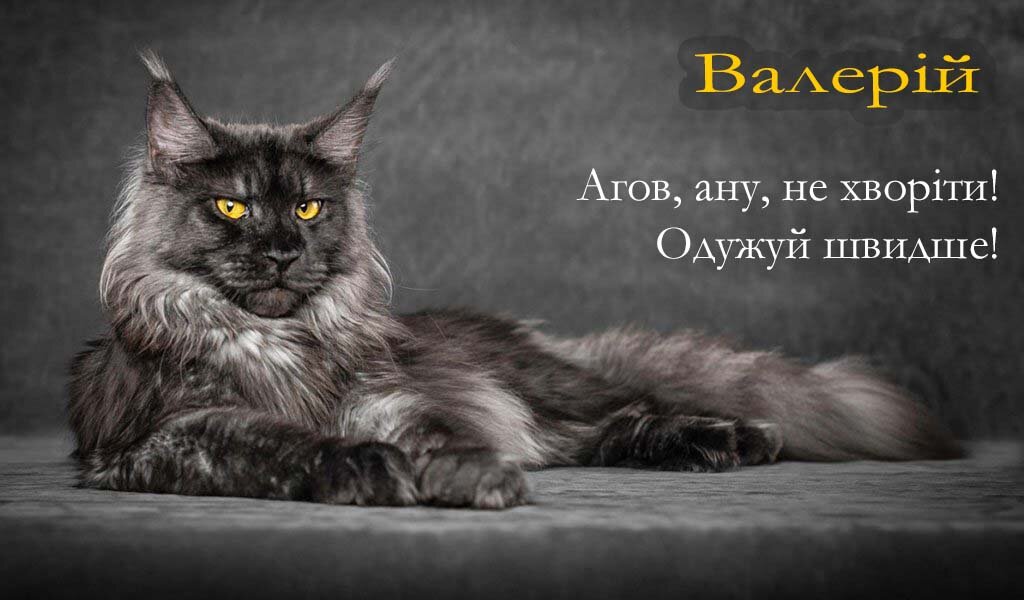 Картинка Валерій, Агов, ану, не хворій, видужуй швидше!