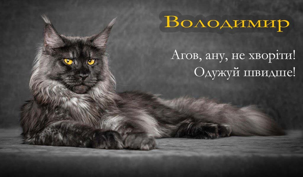 Картинка Володимир, Агов, ану, не хворій, видужуй швидше!
