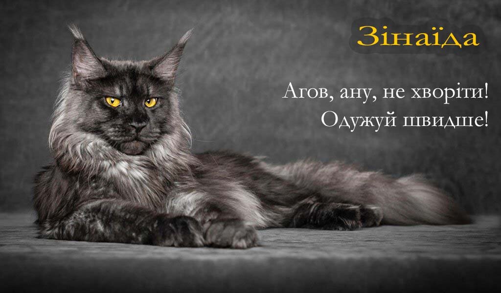 Картинка Зінаїда, Агов, ану, не хворій, видужуй швидше!