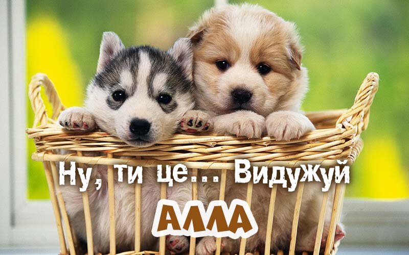 Картинка видужуй і більше не хворій, Алла