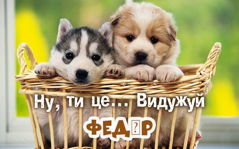 Картинка видужуй і більше не хворій, Федір