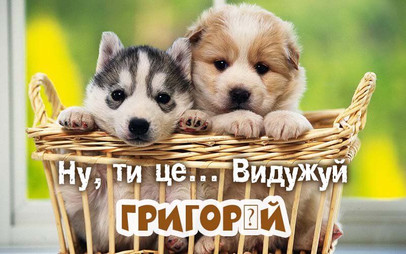 Картинка видужуй і більше не хворій, Григорій