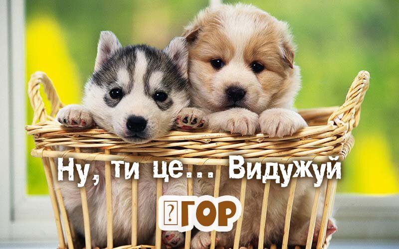 Картинка видужуй і більше не хворій, Ігор