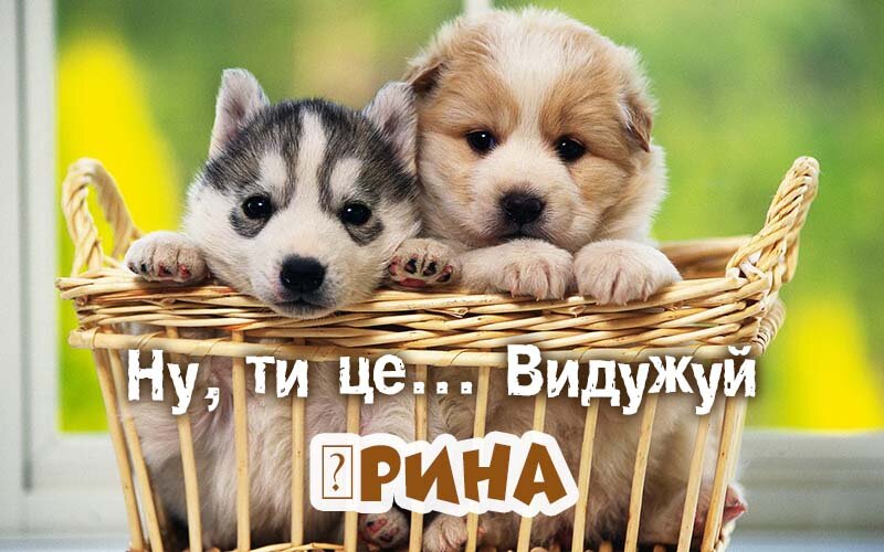 Картинка видужуй і більше не хворій, Ірина