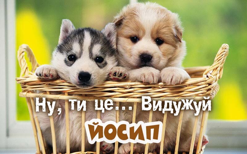 Картинка видужуй і більше не хворій, Йосип