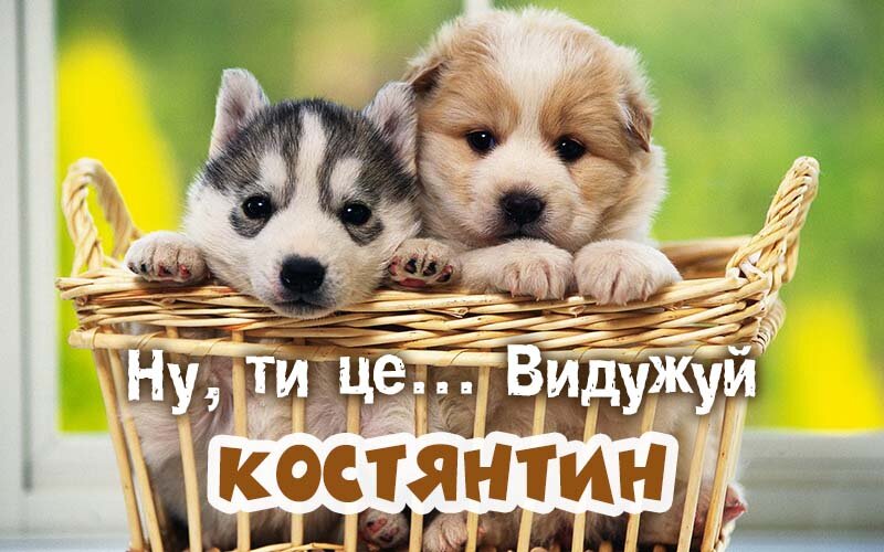 Картинка видужуй і більше не хворій, Костянтин