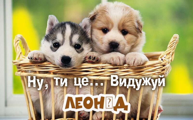 Картинка видужуй і більше не хворій, Леонід
