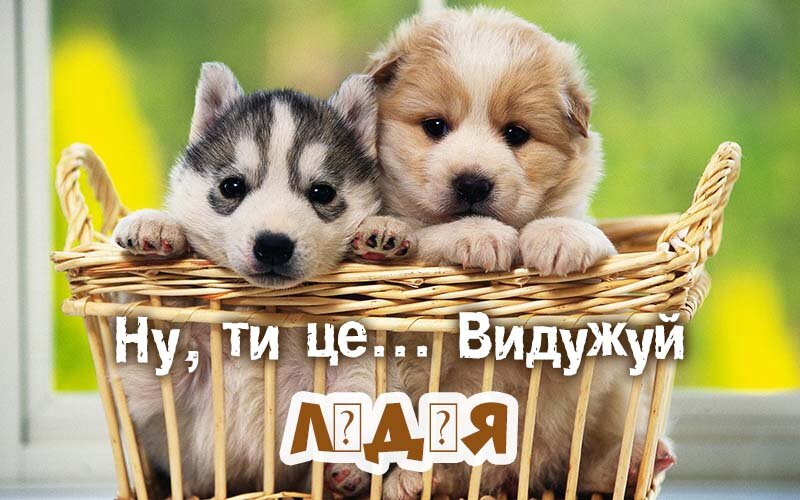 Картинка видужуй і більше не хворій, Лідія