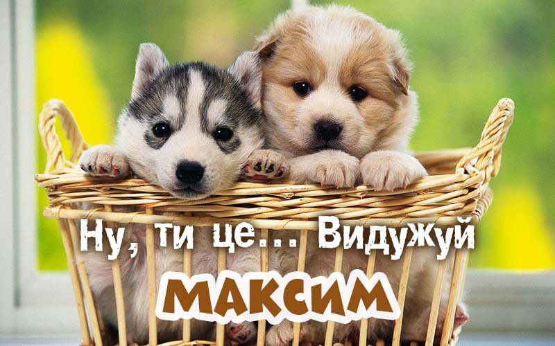Картинка видужуй і більше не хворій, Максим
