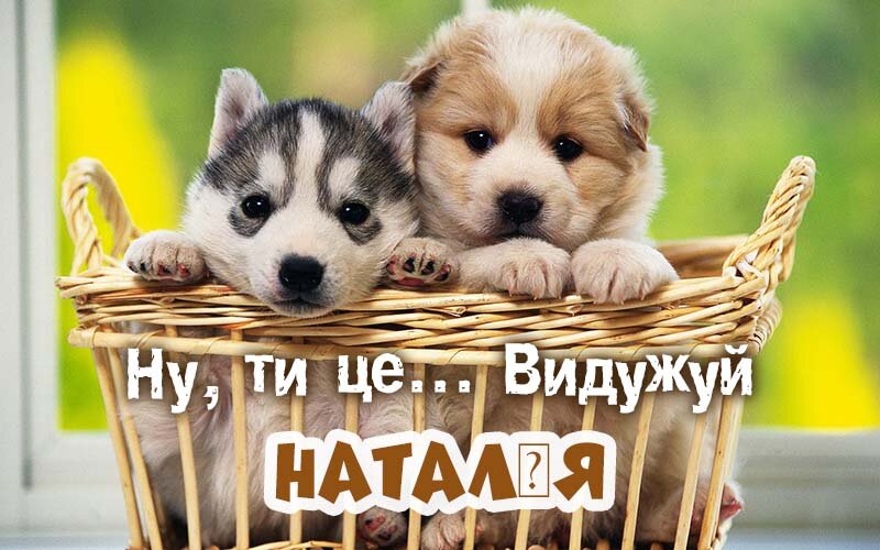 Картинка видужуй і більше не хворій, Наталія