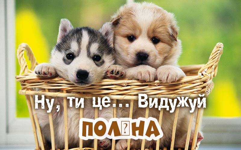 Картинка видужуй і більше не хворій, Поліна