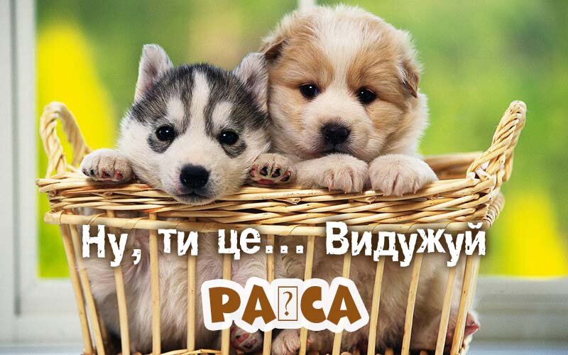 Картинка видужуй і більше не хворій, Раїса