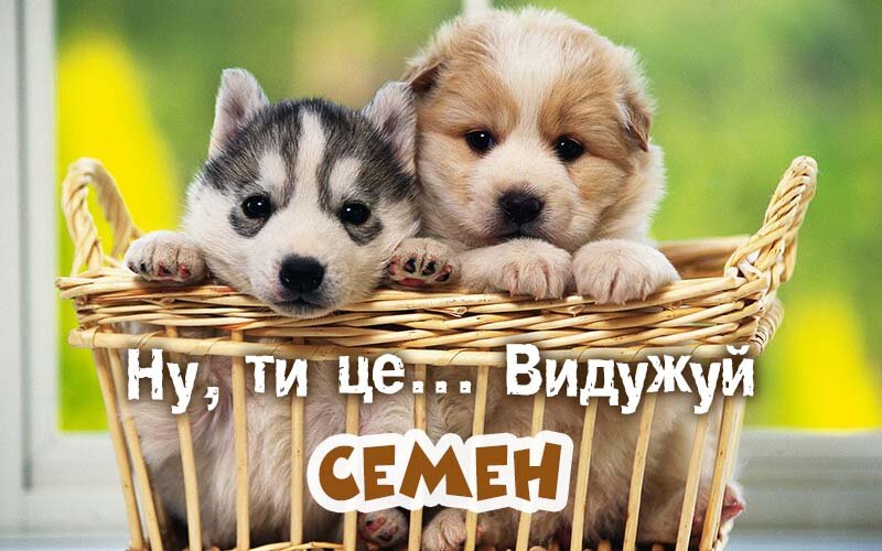 Картинка видужуй і більше не хворій, Семен