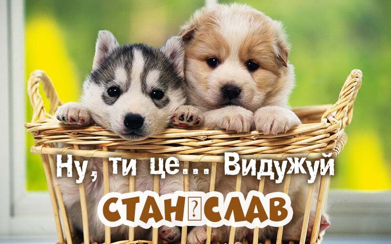 Картинка видужуй і більше не хворій, Станіслав