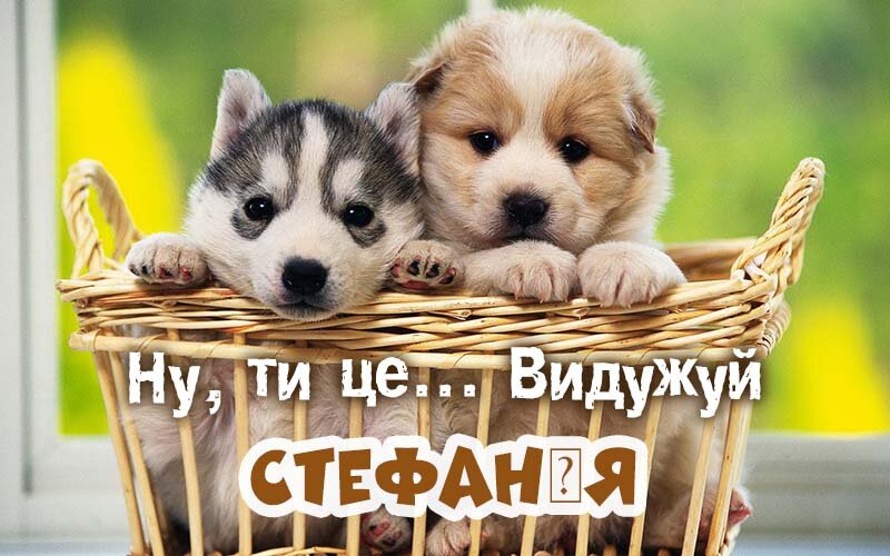 Картинка видужуй і більше не хворій, Стефанія