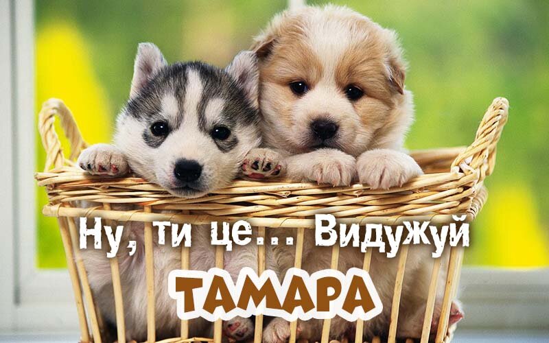 Картинка видужуй і більше не хворій, Тамара