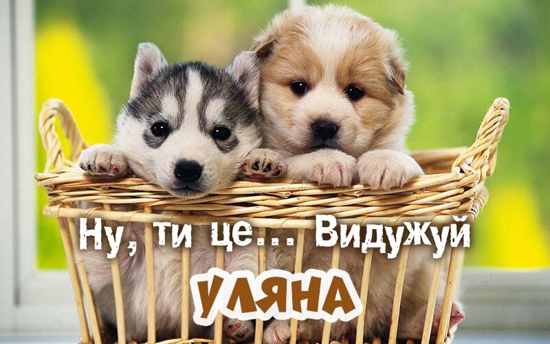 Картинка видужуй і більше не хворій, Уляна