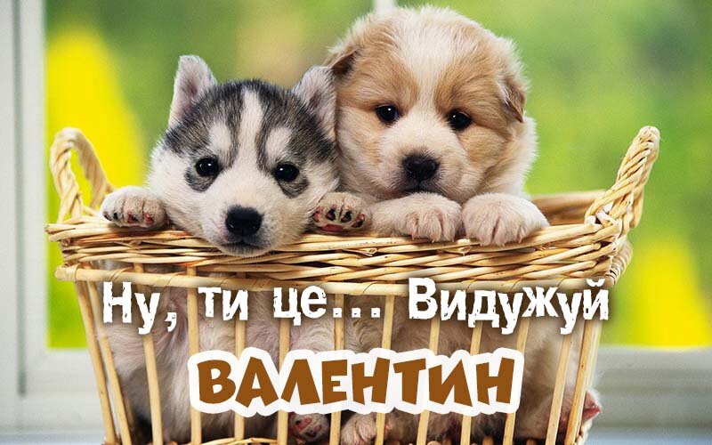 Картинка видужуй і більше не хворій, Валентин