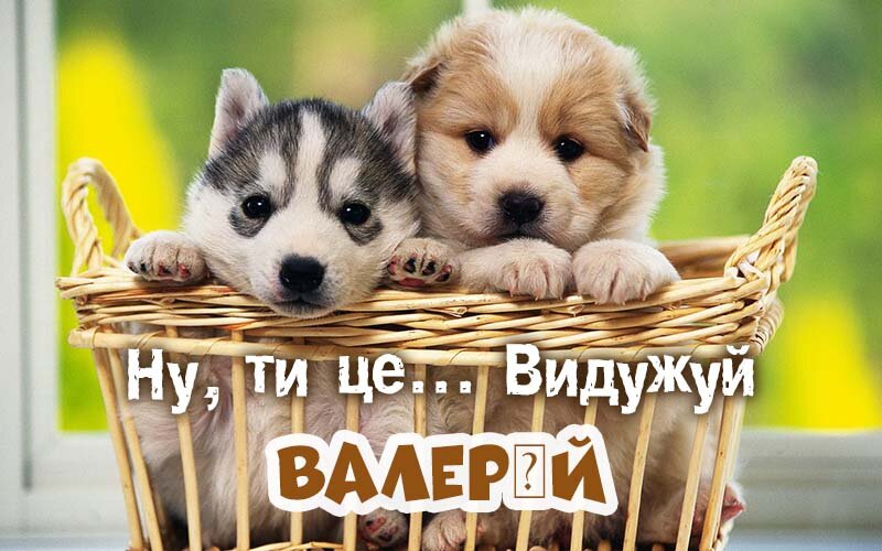 Картинка видужуй і більше не хворій, Валерій