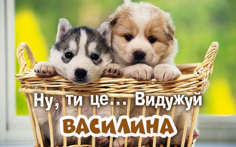 Картинка видужуй і більше не хворій, Василина
