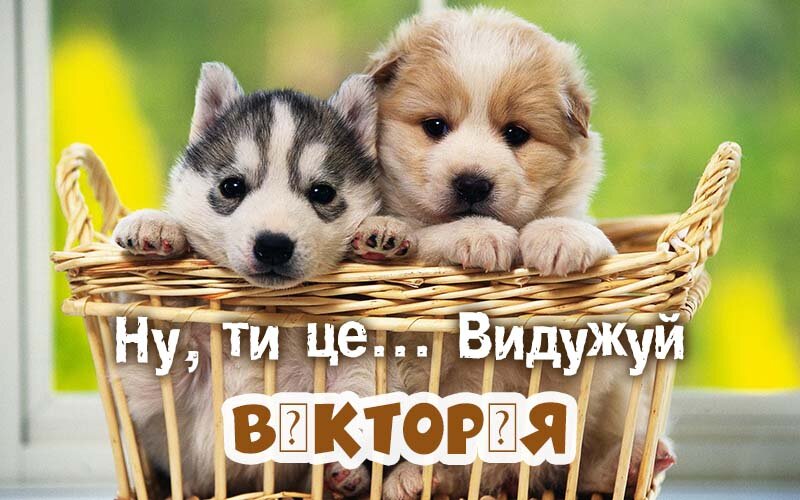 Картинка видужуй і більше не хворій, Вікторія