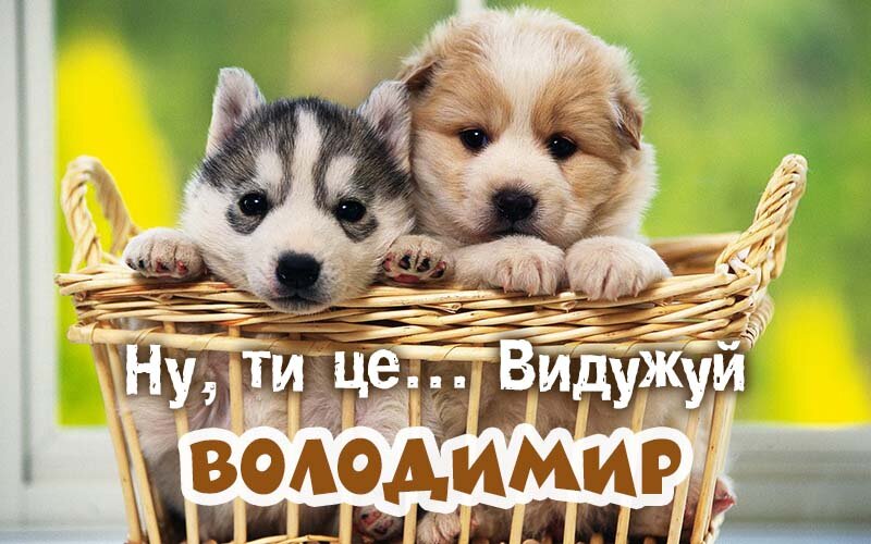 Картинка видужуй і більше не хворій, Володимир