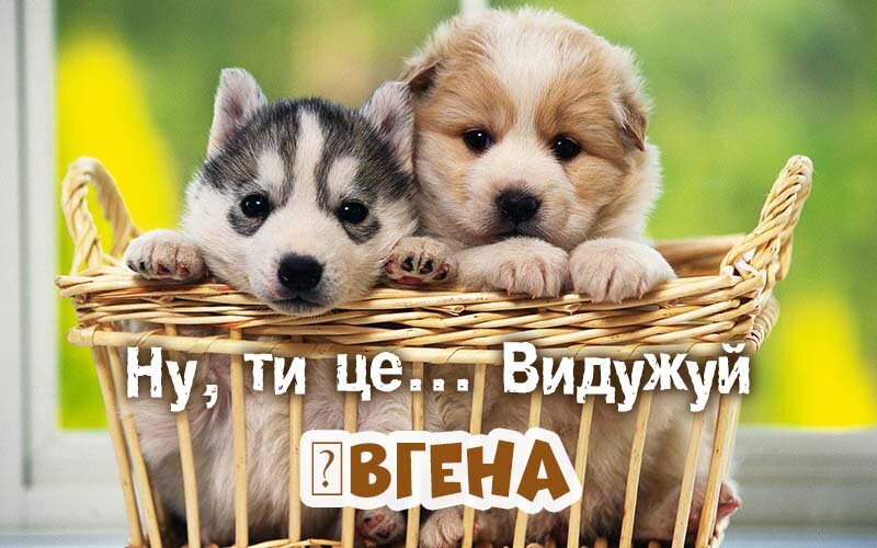 Картинка видужуй і більше не хворій, Євгена